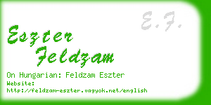 eszter feldzam business card